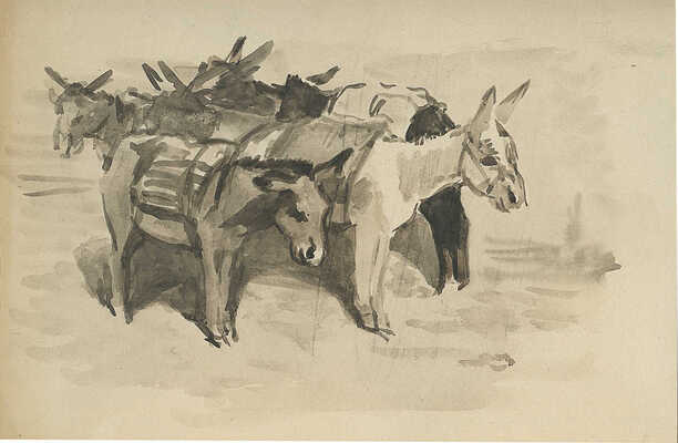 Володин Михаил Филиппович. Самарканд